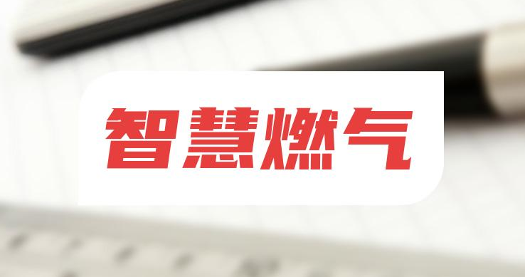 解碼智慧燃氣：從技術賦能到場景革新的多維圖景